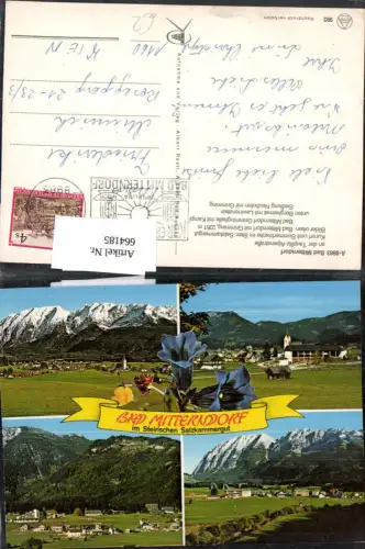 664185,Mehrbild Ak Bad Mitterndorf mit Grimming Siedlung Neuhofen