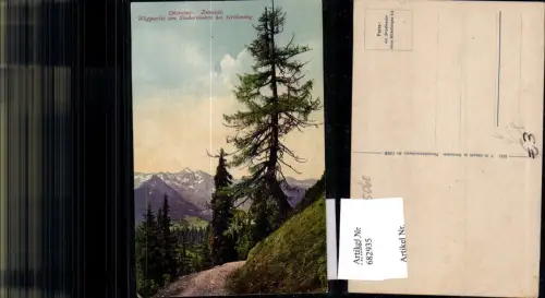 682935 Ennstal Stoderzinken b. Gröbming pub F.E. Brandt 1062
