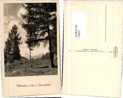 74825,Stolzalpe bei Murau Tauernblick 1941