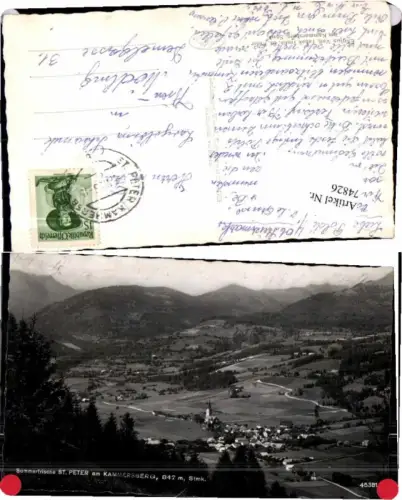 74826,Sommerfrische St Peter am Kammersberg Ledermann 45381