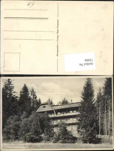 75988,Neumarkt i.d. Steiermark Pension am Walde Detailansicht