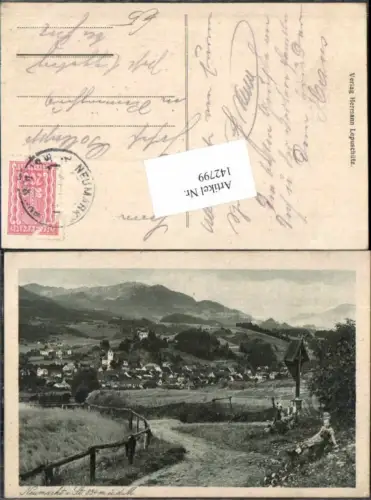 142799,Neumarkt in Steiermark Wegansicht 1920