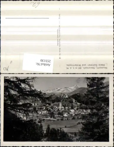 253130,Neumarkt in d. Steiermark Totale m. Burg