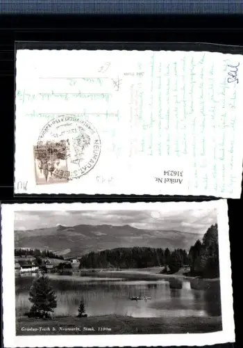 316234,Graslup-Teich b. Neumarkt in d. Steiermark Teich Bergkulisse