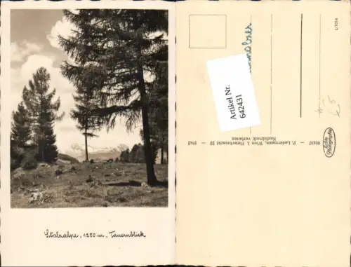 642431,Stolzalpe bei Murau Tauernblick Bäume Tannen