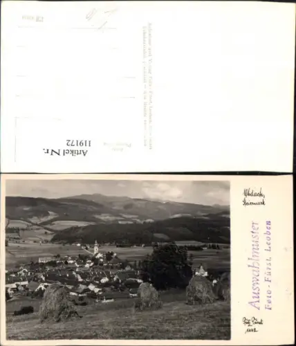 119172,Obdach Totale Auswahlmuster pub Fürst 1442