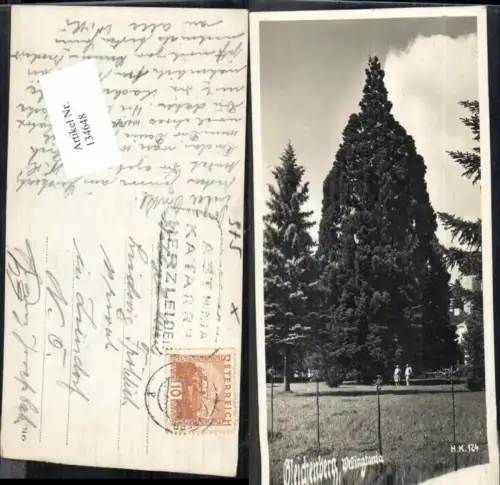134648,Gleichenberg Partie im Ort