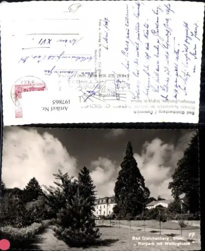 197865,Bad Gleichenberg Kurpark m. Wellingtonia