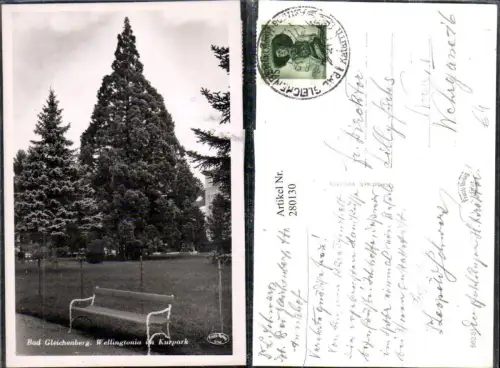280130,Bad Gleichenberg Wellingtonia im Kurpark