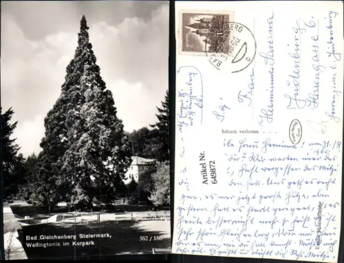 649872,Foto Ak Bad Gleichenberg Wellingtonia im Kurpark Baum