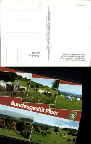 624367,Mehrbild Ak Bundesgestüt Piber Köflach Pferde Reiten Lipizzaner