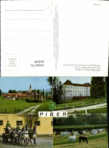 624390,Mehrbild Ak Bundesgestüt Piber Köflach Pferde Reiten Lipizzaner Kutsche