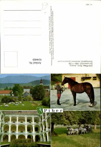 624469,Mehrbild Ak Bundesgestüt Piber Köflach Pferde Reiten Lipizzaner Kutsche