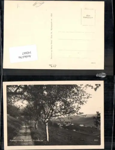 142667,Sommerfrische Birkfeld Seltene Wegpartie 1940