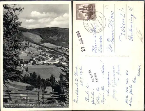 142691,Fischbach 1955