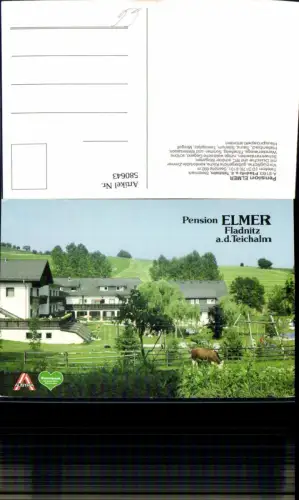 580643,Fladnitz an der Teichalm Pension Elmer Spielplatz Kuh Rind