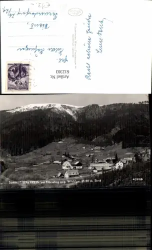 612303,Foto Ak Frein b. Mürzsteg geg. Wildalpe