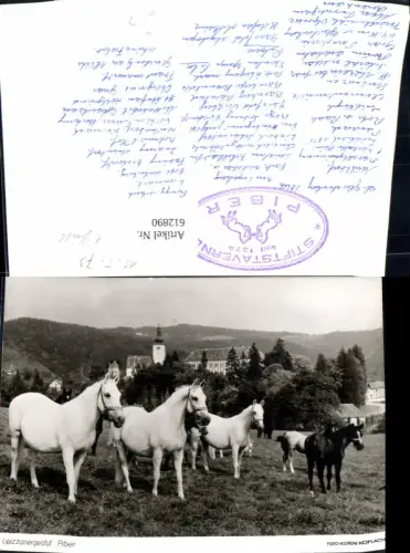 612890,Foto Ak Köflach Lipizzanergestüt Piber Pferde Reiten