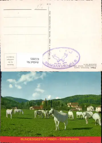 612895,Piber Köflach Bundesgestüt Lipizzaner Pferde