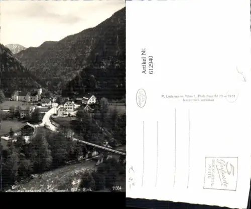 612940,Foto Ak Wildalpen geg. Riegerin Ansicht