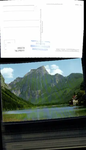 613564,Leopoldsteiner See b. Eisenerz m. Pfaffenstein