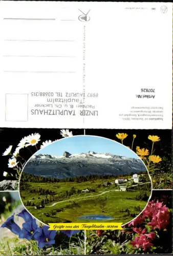 707826 Mehrbild AK Tauplitz Tauplitzalm mit Dachstein Blumen Enzian Bad Mitterndorf