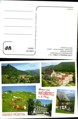 708542 Mehrbild AK Neuberg an der Mürz Münster Neuberg Schneealm Gasthof Holzer