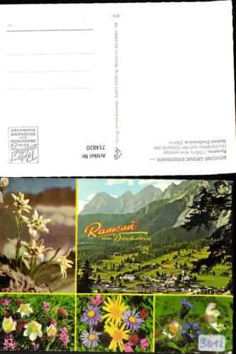 714820 Mehrbild AK Ramsau a. Dachstein Alpenflora Enzian Edelweiß
