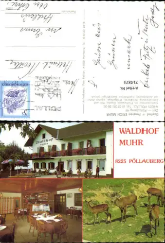 714873 Mehrbild AK Pöllau b. Hartberg Pöllauberg Gasthof Pension Muhr Wild Rehe