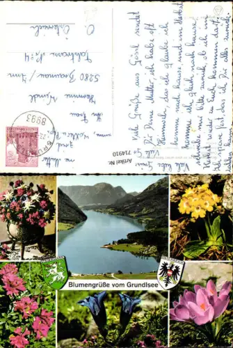714910 Mehrbild AK Grundlsee Alpenblumen Enzian Krokus