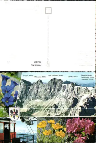 714991 Mehrbild AK Ramsau a. Dachstein Südwand Gletscherstation Hunerkogel Alpenflora Enzian