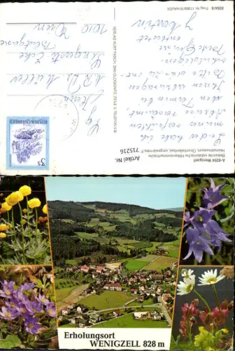 715216 Mehrbild AK Wenigzell Totale Flora Blumen