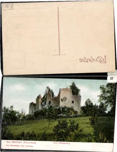 59542,Bad Neuhaus Ruine Schlangenburg 1905