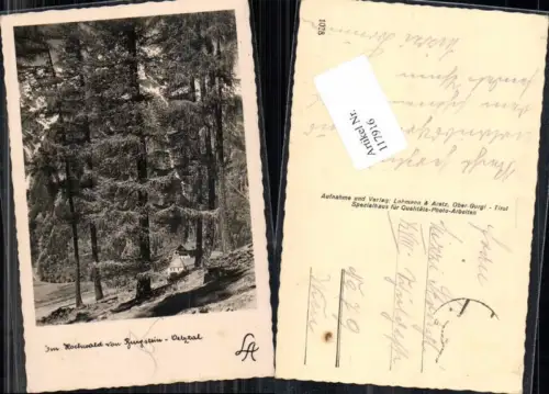 117916,Hochwald von Burgstein Oetztal bei Sölden
