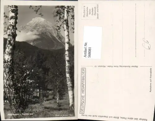 568081,Seefeld in Tirol Blick a. Hochmunde Baum Birke
