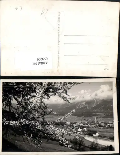 659206,Hall i. Tirol Ansicht mit Baumblüte