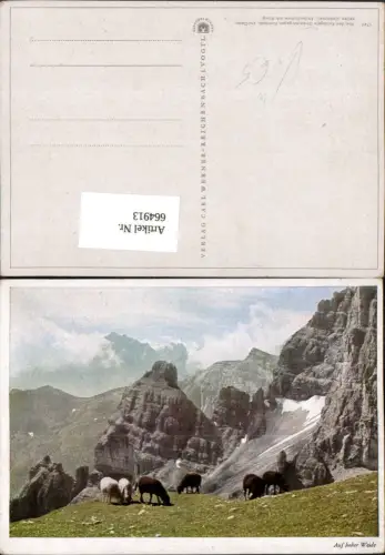 664913,Fulpmes Auf hoher Weide Kalkkögeln Stubaier geg. Jlmspitze