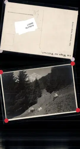 684917 Foto-AK Am Wege zur Waldrast Mieders Stubai Telfes Telfs Neustift
