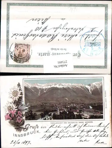 273491,Litho AK Innsbruck Totale nach Norden Bergkulisse Passepartout Blumen Edelweiß pub Ottmar Zieher