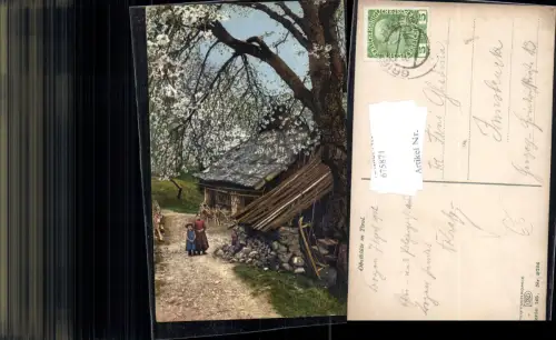 675871,Photochromie Nenke e Ostermaier 145-2724 Obstblüte in Tirol Kinder