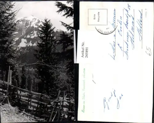 245891,Brixen im Thale Partie Wald Bergkulisse