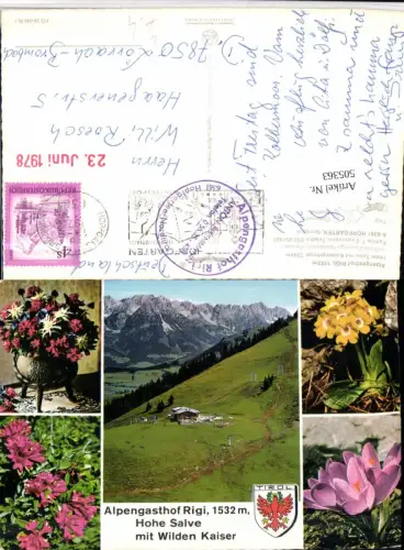 505363,Hopfgarten Alpengasthof Rigi Blumen Krokus Mehrbildkarte