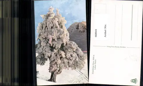 668941,Kitzbühel Kitzbüheler Horn Letzter Baum im Winter