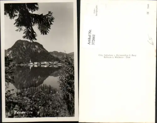 372661,Blick auf Walchsee Totale Bergkulisse
