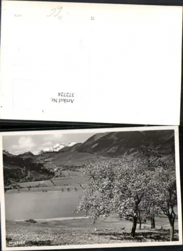 372724,Blick auf Thiersee See Bergkulisse Baumblüte