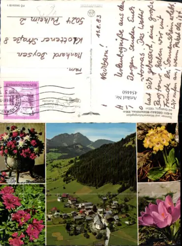 454460,Oberau Wildschönau Totale Blumen Mehrbildkarte pub Alpine Luftbild 56039