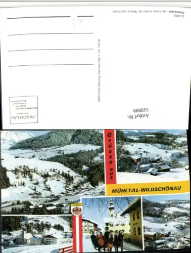 519889,Wildschönau Mühltal Totale Pferdeschlitten Mehrbildkarte