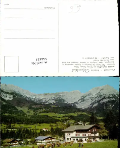 556131,Scheffau am Wilden Kaiser Gasthof Alpenblick