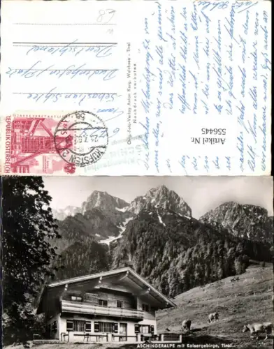 556445,Aschingeralpe bei Ebbs Kufstein Oberbuchberg Buchberg