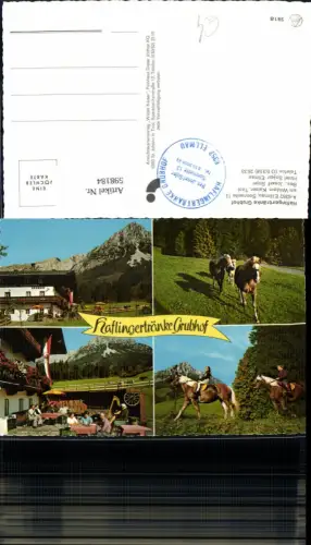 598184,Mehrbild Ak Ellmau a. Wilden Kaiser Haflingertränke Grubhof Pferde Reiten